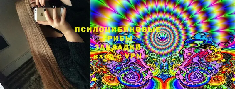 купить закладку  Белинский  Галлюциногенные грибы Cubensis 